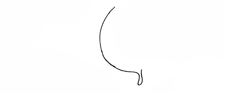 步骤1：首先画一条弧线.注意线条的变化。