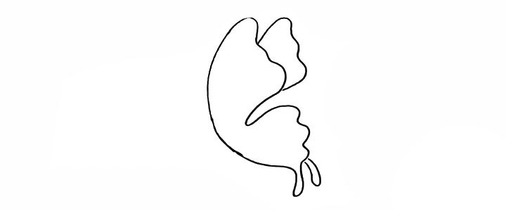 步骤3：仔细观察.在画出被遮挡的翅膀。