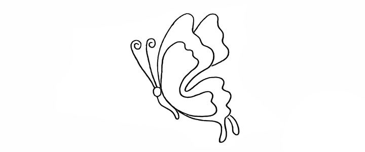 步骤6：然后画出翅膀上的纹理。