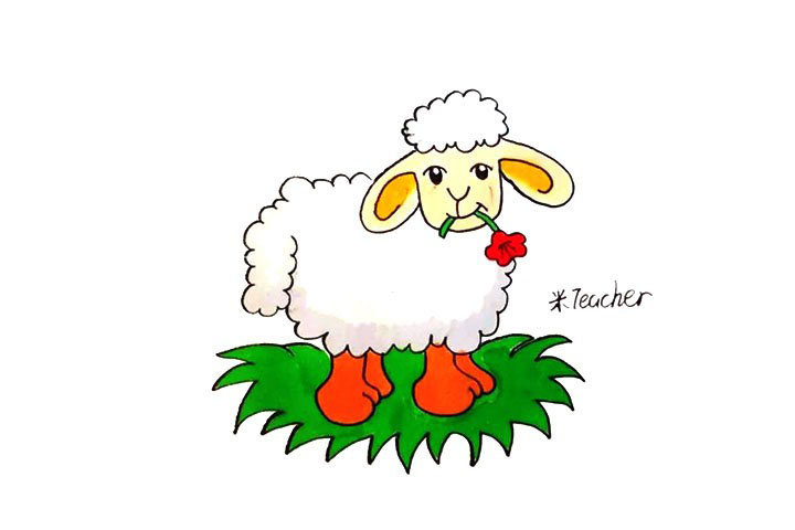 小绵羊简笔画教程