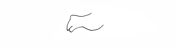 步骤2：仔细观察再勾勒出它的脸颊。