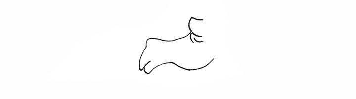 步骤3：接着画出突出的眼睛。