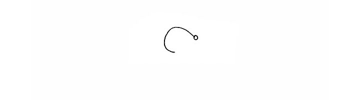 步骤2：在画一个小圆圈作为松鼠的鼻子。