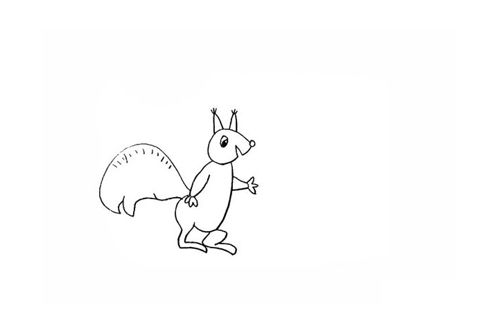 步骤10：用线条装饰一下尾巴上的纹理。