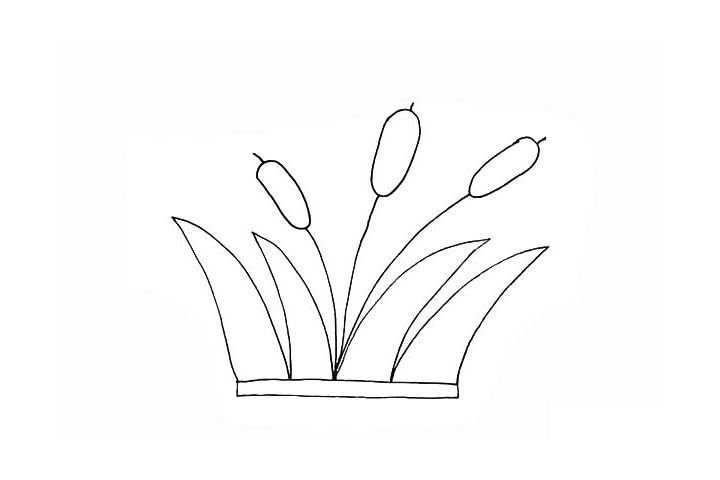 步骤6：同样的还有另外两朵漂亮的芦苇花。