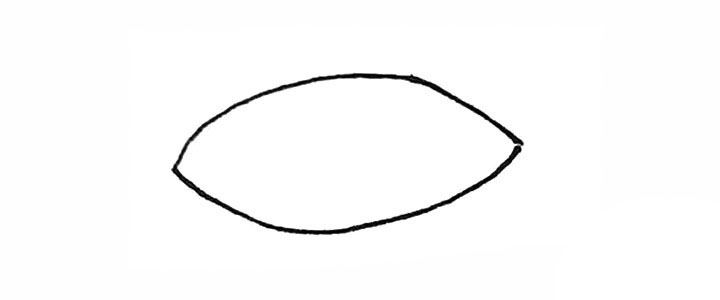 步骤1：先画上两条弧线，形成两头尖的椭圆形。