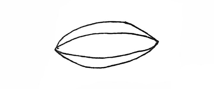 步骤2：中间再画上两条这样的弧线。