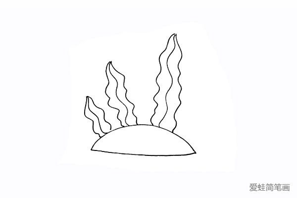 步骤3：用不同的波浪线勾勒出海草的叶。