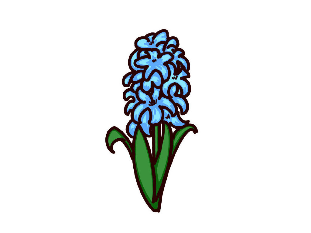 风信子简笔画教程