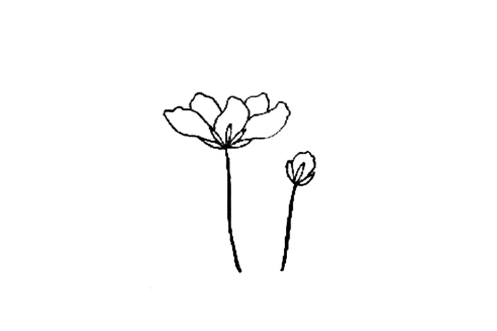 花丛里有小兔子简笔画教程-图4