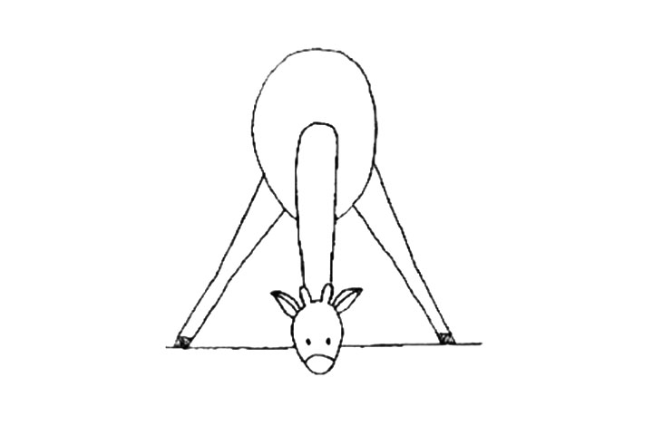 喝水的长颈鹿简笔画画法教程-图3