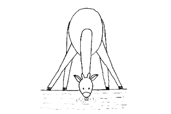 喝水的长颈鹿简笔画画法教程-图4