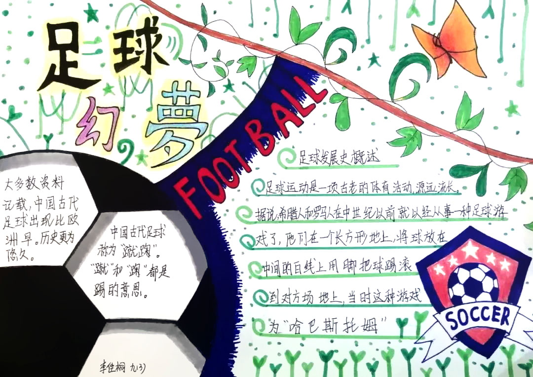 足球文化手抄报图片-图4