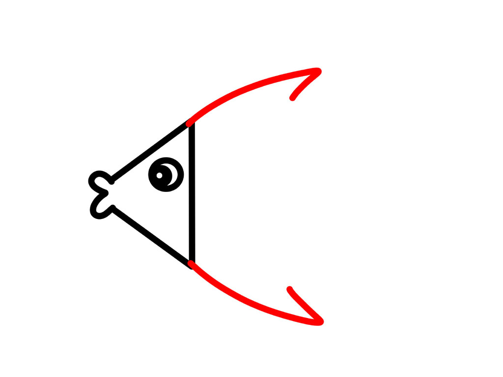 漂亮的海鱼简笔画教程-图3