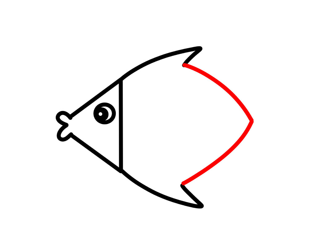 漂亮的海鱼简笔画教程-图4