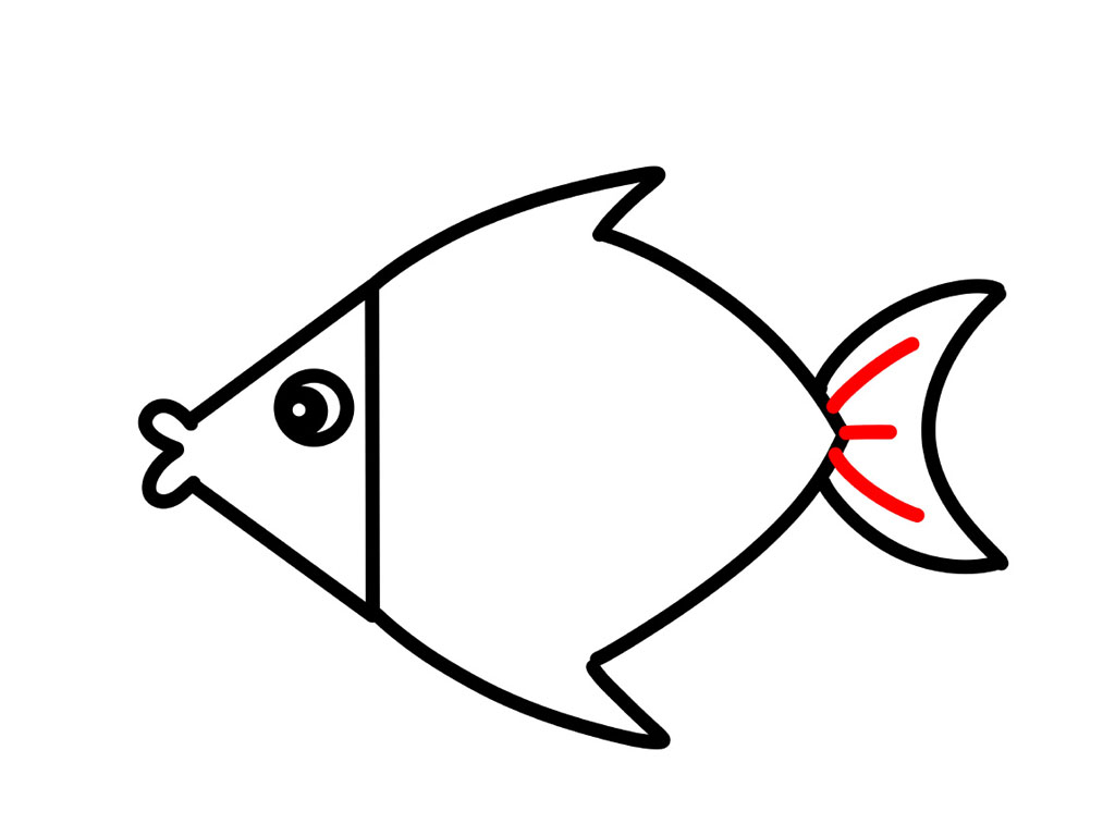 漂亮的海鱼简笔画教程-图6