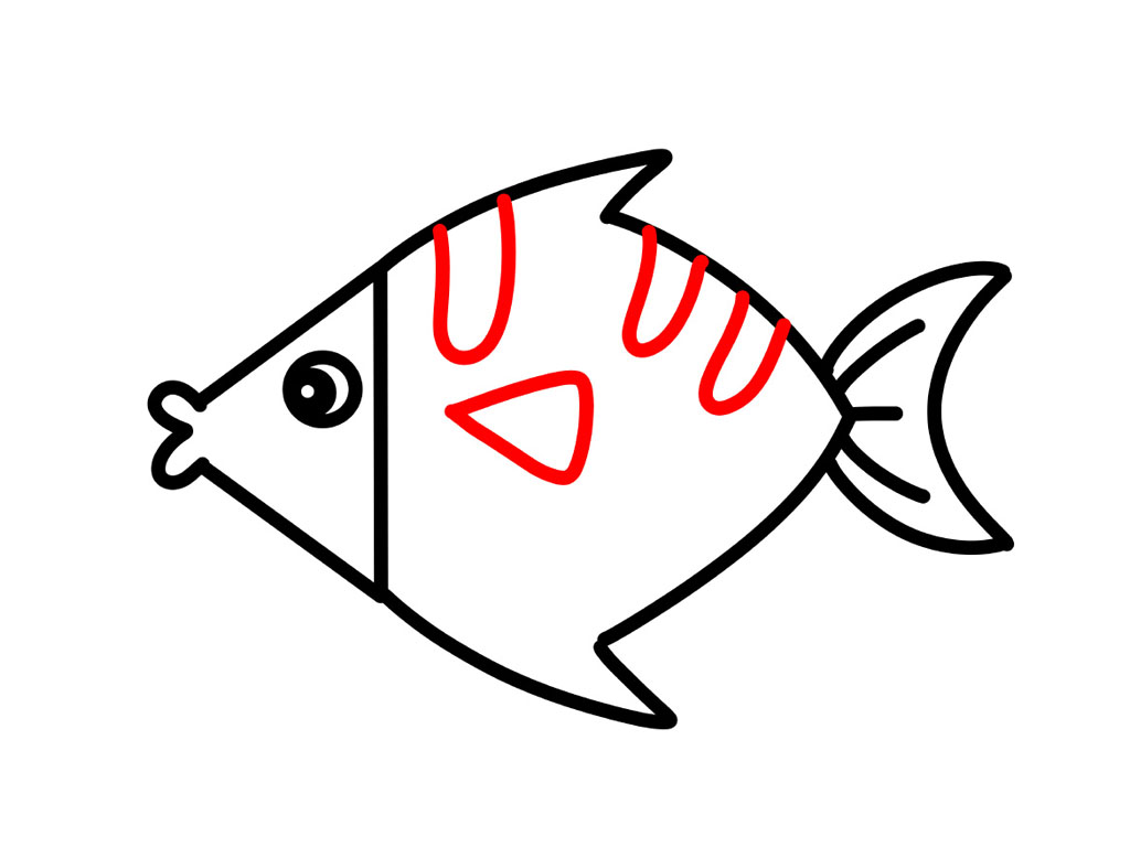 漂亮的海鱼简笔画教程-图7