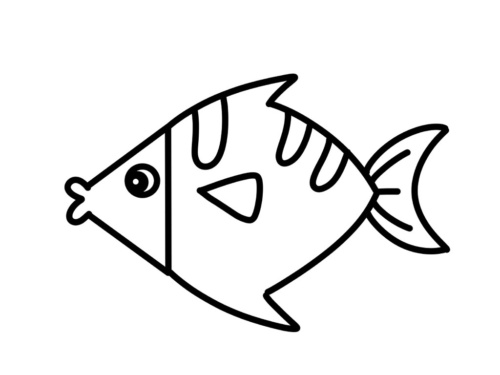 漂亮的海鱼简笔画教程-图8