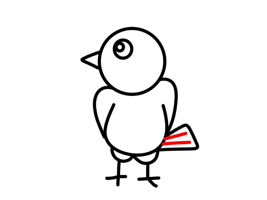 简单的小鸟简笔画画法步骤-图8