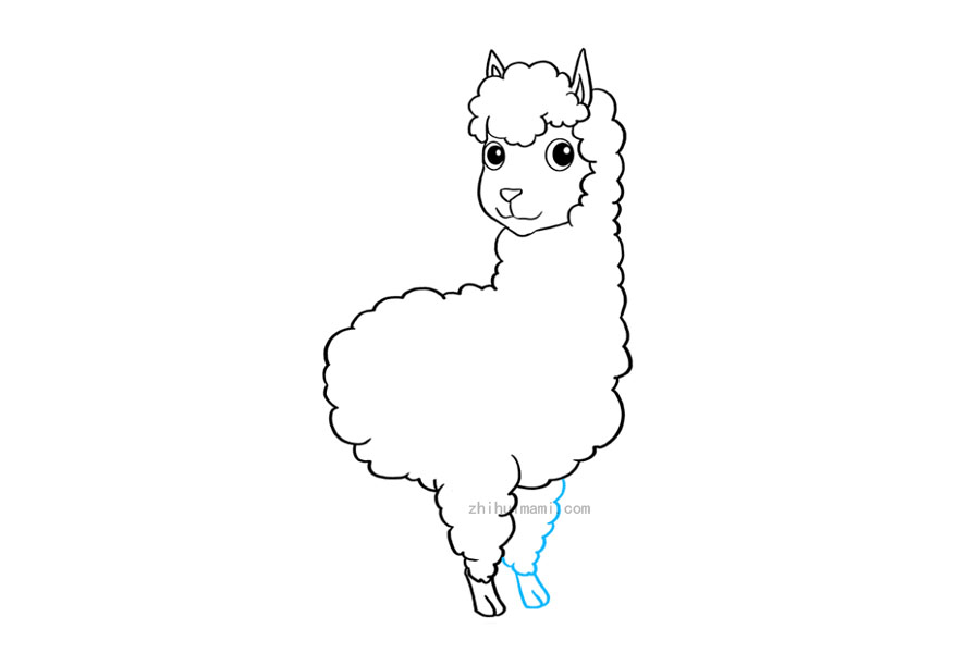 步骤6：6.使用曲线将其余的前肢包围起来。然后，画出矩形脚和脚趾的裂口。