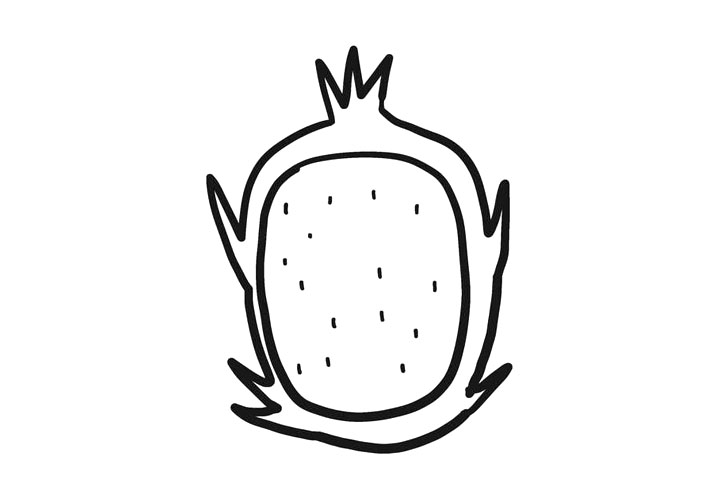 火龙果简笔画教程-图3