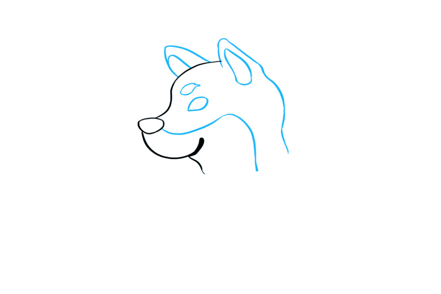 步骤2：2.继续画狗的头。绘制圆形三角形形状以形成耳朵。在每只耳朵内放置类似的形状。然后，使用曲线形成头部和颈部的后部。从鼻子向下到脖子画一条长的“ S”形线，表明颜色发生了变化。为眼睛绘制一个泪珠形状，并在其上方绘制另一个形状以形成眉头。