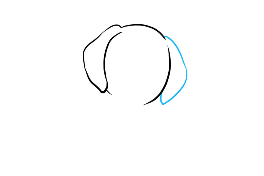 步骤2：用一条曲线将另一侧的不规则形状的耳朵包起来。