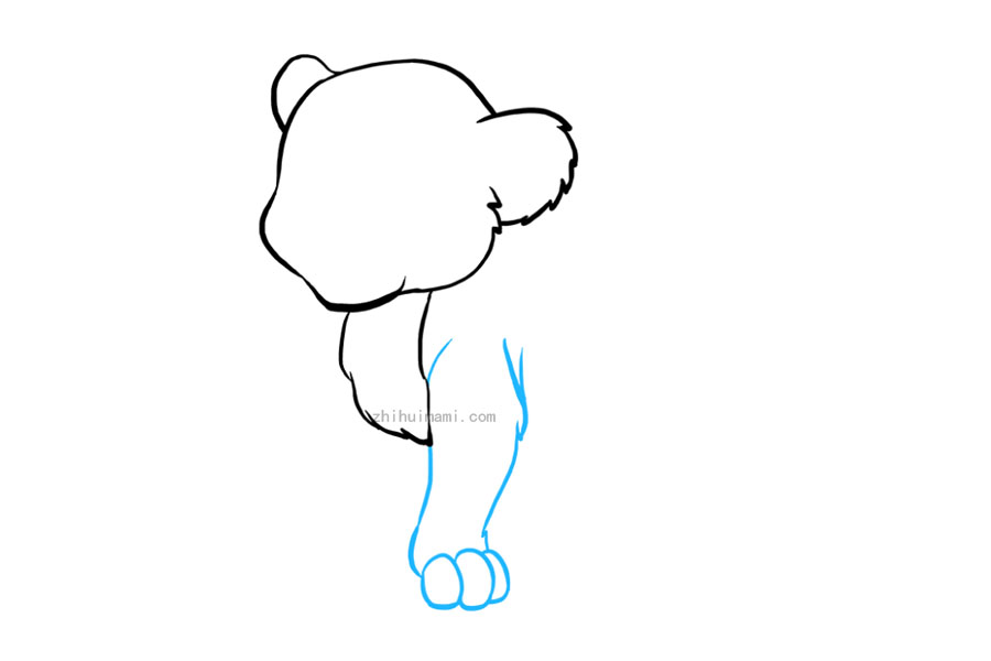 步骤3：使用一对曲线勾勒腿部。用一系列重叠的椭圆形包裹腿的底部，形成脚掌的脚趾。