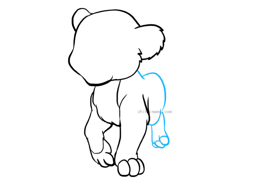 步骤5：使用一系列曲线勾勒出动物的前后。然后，使用一对曲线画出后腿。用重叠的“ U”形线围住腿，形成脚趾。用曲线绑住每个脚趾。