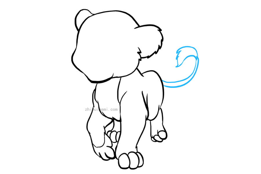 步骤7：画狮子的尾巴。使用一对曲线，并让它们相交。然后，从尾巴的尖端延伸一对曲线，使它们分开。用锯齿状点相交的不同长度的短线连接它们。这形成了尾巴的毛茸茸簇。