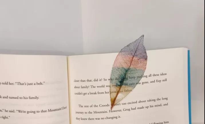 步骤8：一片五彩缤纷、薄如蝉翼的叶脉书签就完成啦！