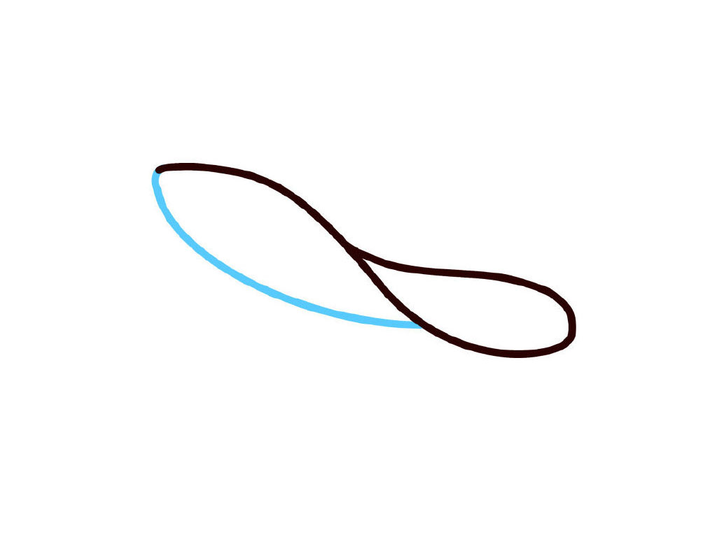 步骤3：再画一条弧线