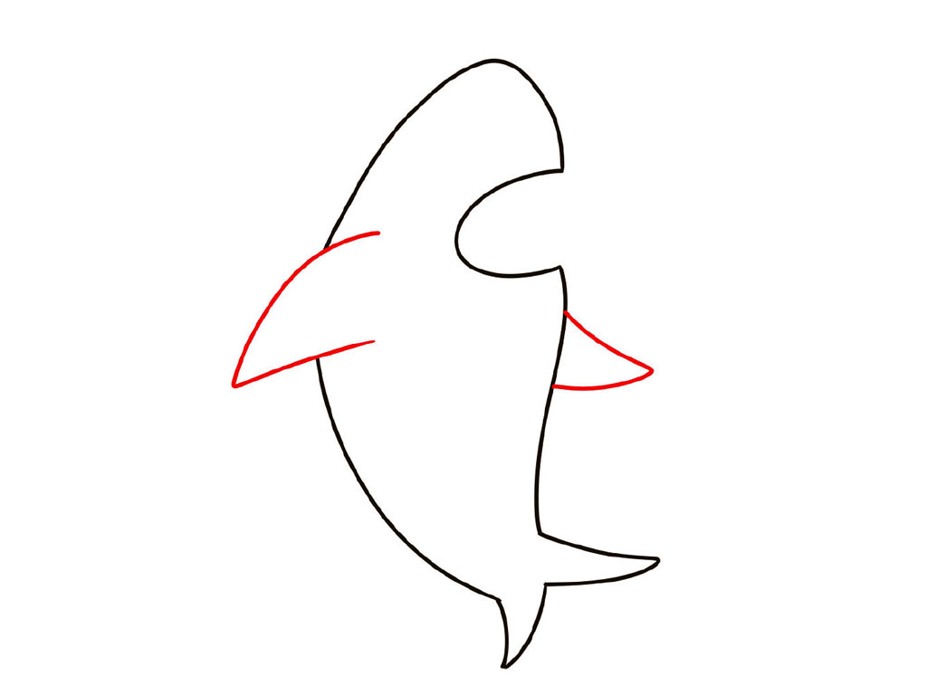 鲨鱼简笔画画法教程-图5