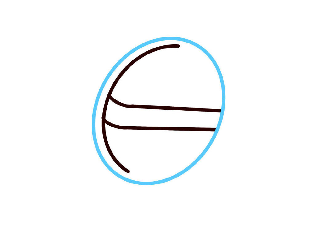 步骤4：画椭圆。