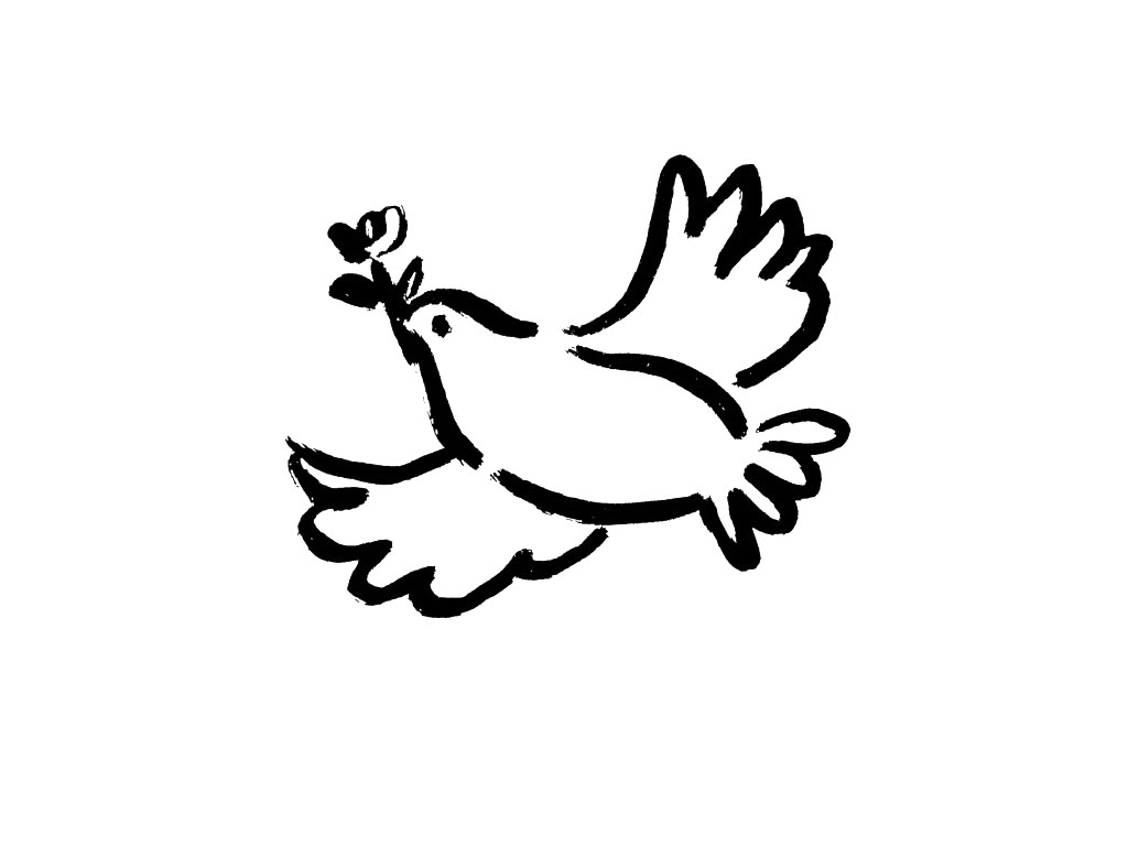 鸽子简笔画图片-图4