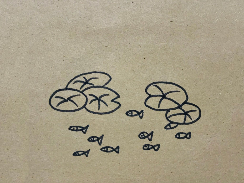 荷叶风景简笔画图片-图1