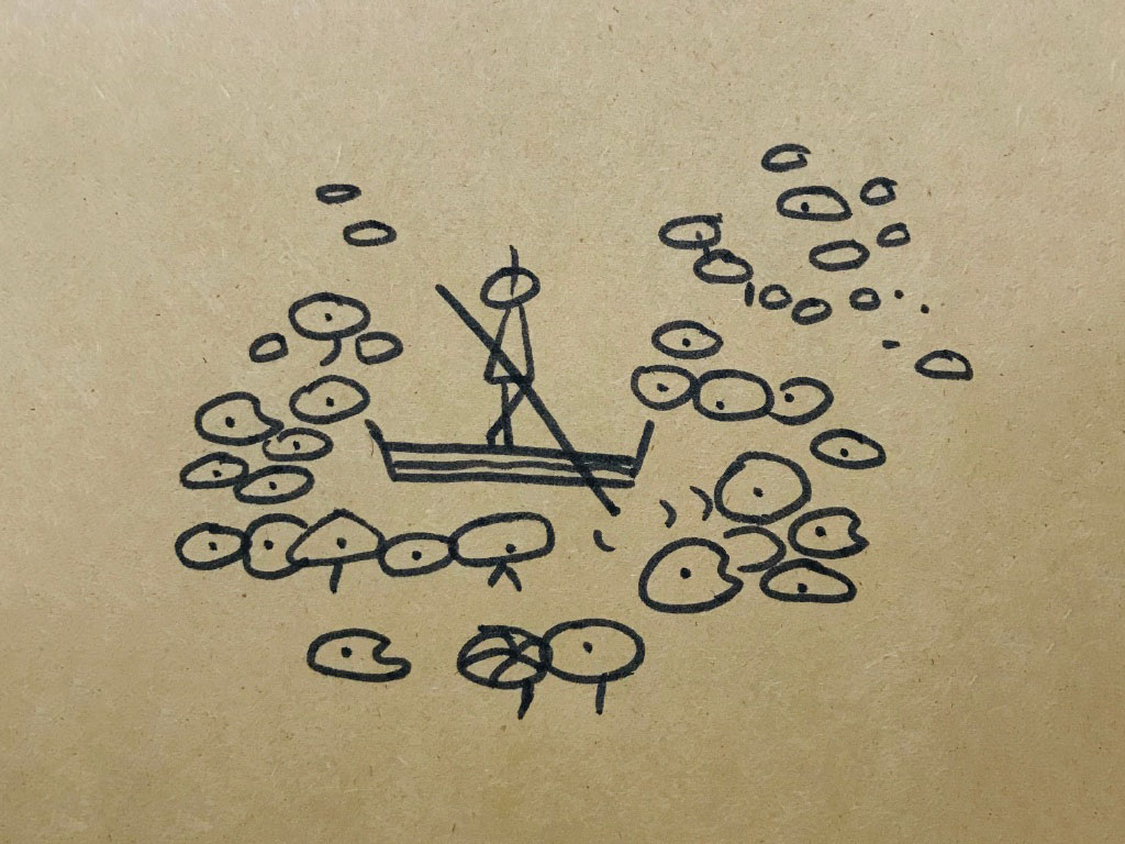 荷叶风景简笔画图片-图8