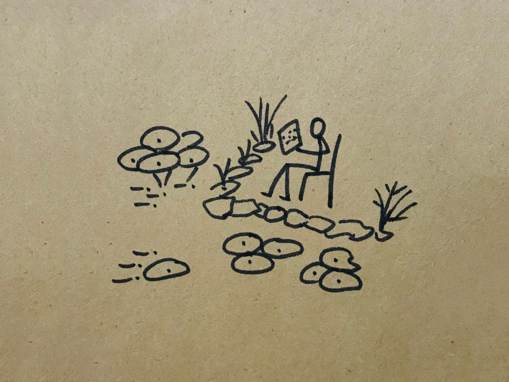 荷叶风景简笔画图片-图9