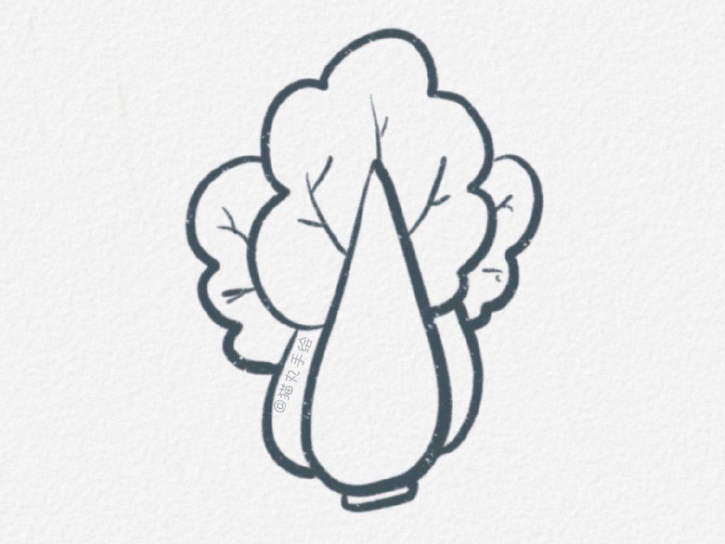 常见蔬菜简笔画图片-图3