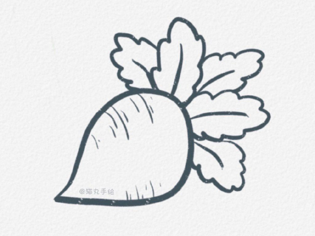 常见蔬菜简笔画图片-图6