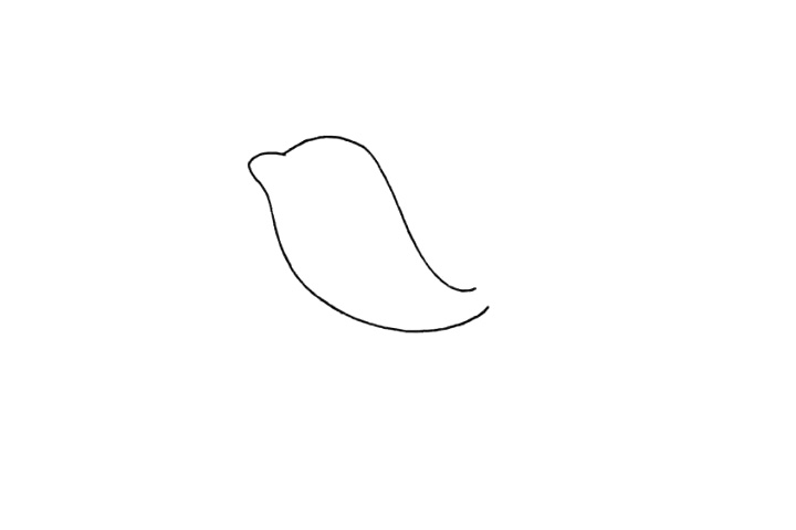 简单四步画出萌萌的小海豚-图1