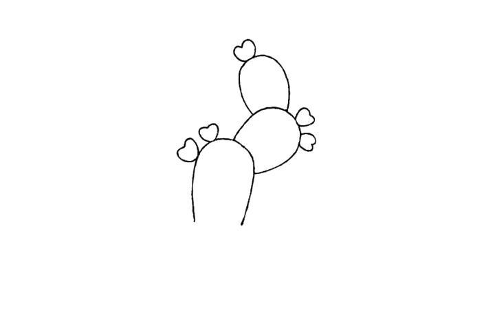 一盆漂亮的仙人掌简笔画教程-图2