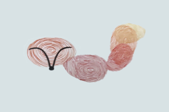 步骤2：先印一个身体，然后印三个指印作尾巴，最后画上鼻子。