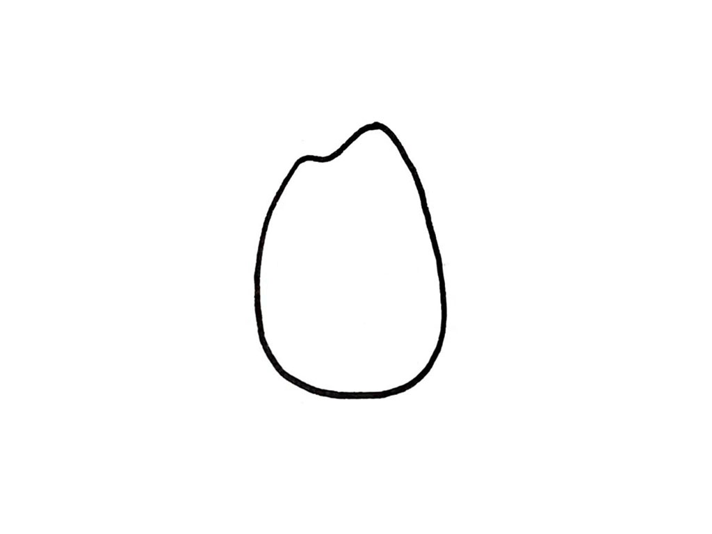 步骤1：首先，画一个水滴形状，顶部留出一个小豁口，如下图所示，我们可以注意观察一下，大米宝宝就是这个特有的形状哦。