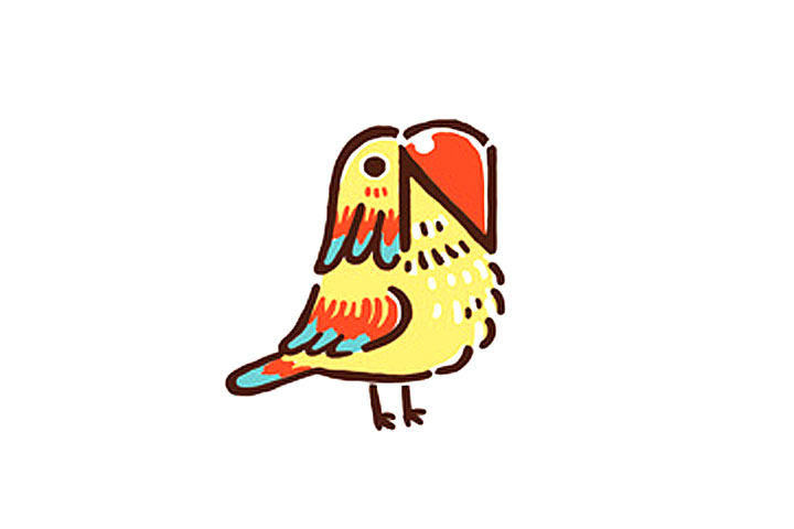 字母简笔画N小鹦鹉简笔画教程