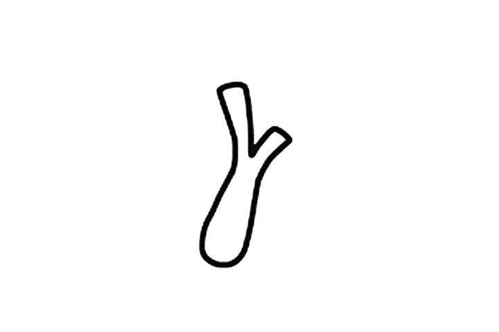 大葱简笔画画法步骤-图2