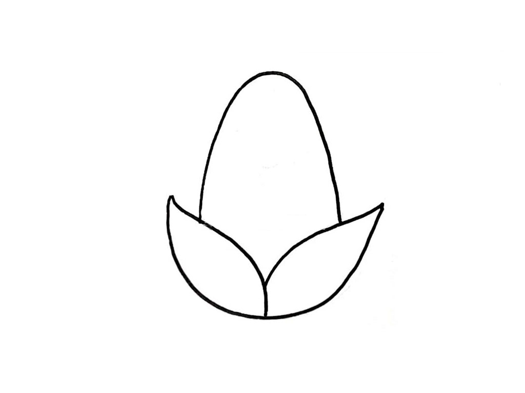 步骤2：在字母u的里面画一个大大的字母Y，小玉米的轮廓就出来了。