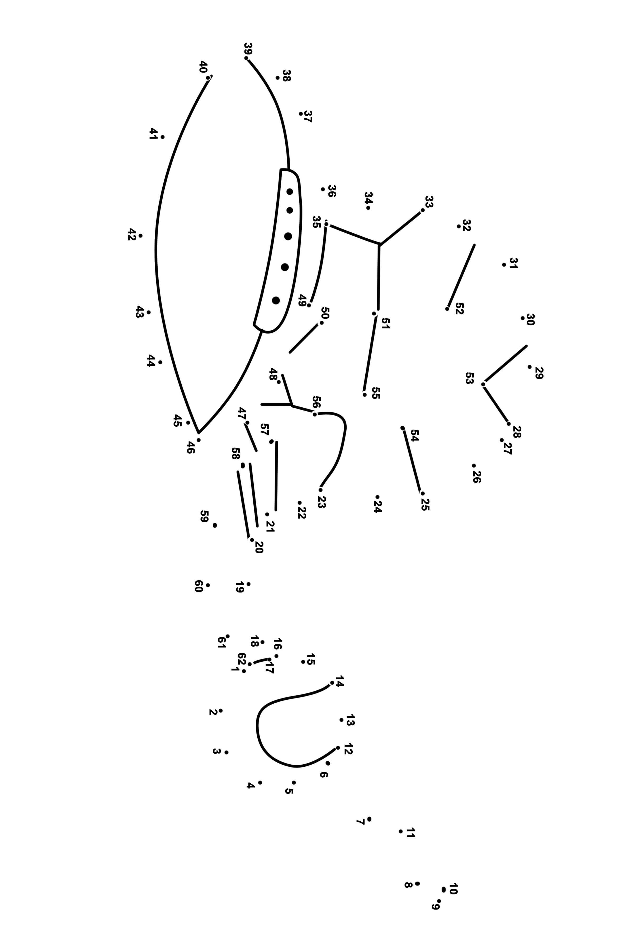 足球、棒球和冰球连线画