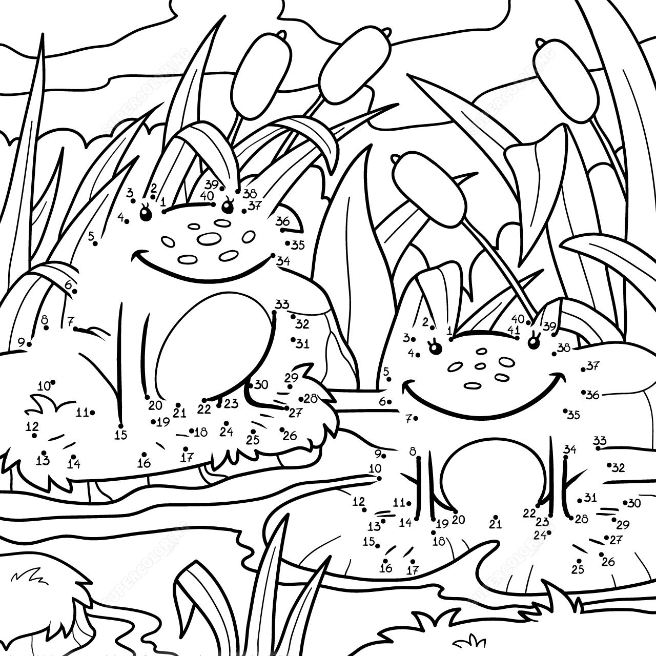 两只青蛙连线画