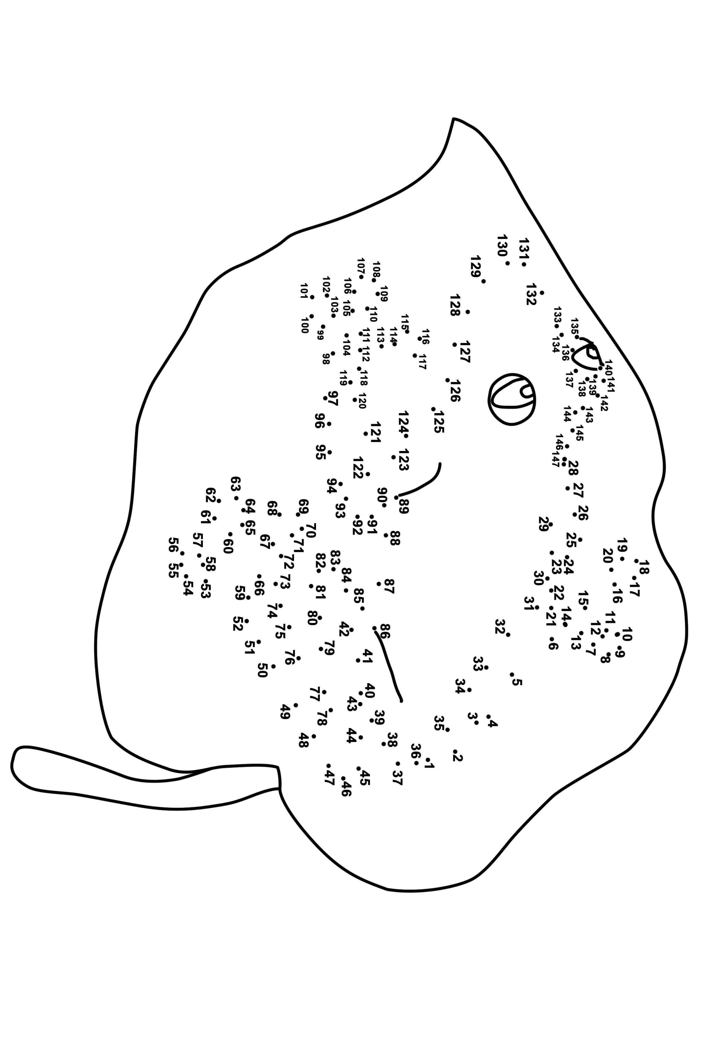 青蛙连线画图片素材